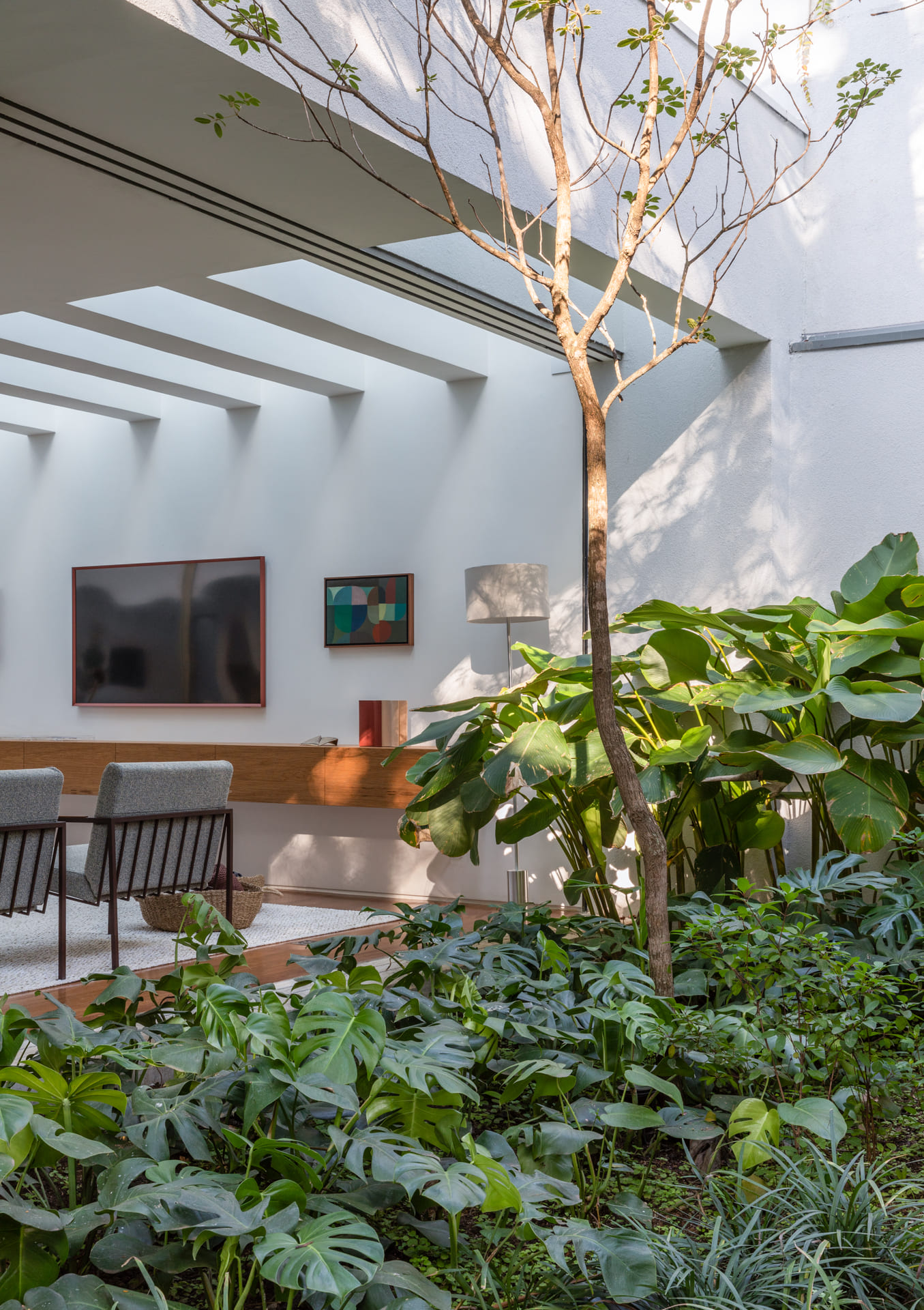 Casa Ibirapuera 3